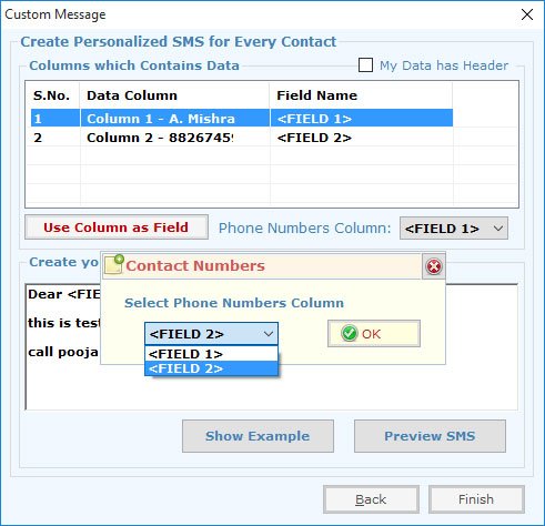 Bulk SMS Caster Professional Bulk SMS Caster Professional